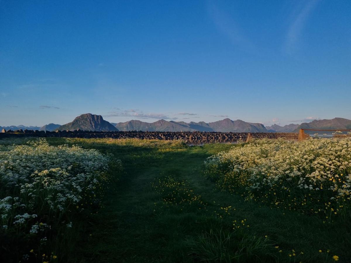 Villa Walter Lofoten With Sauna Kvalnes  Exterior photo